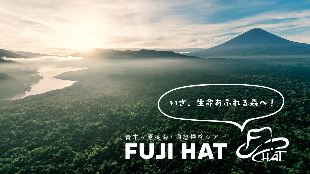 樹海　野外露出 