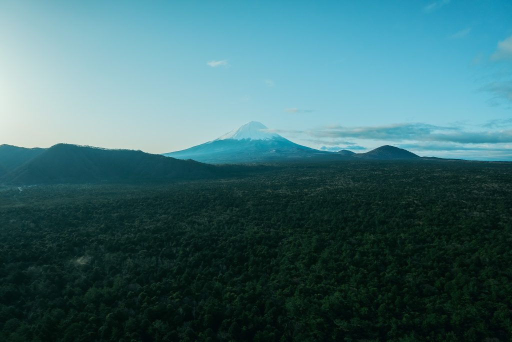 FUJI HATの完全カスタマイズツアー体験記（ドローンから望む富士山と青木ヶ原樹海）