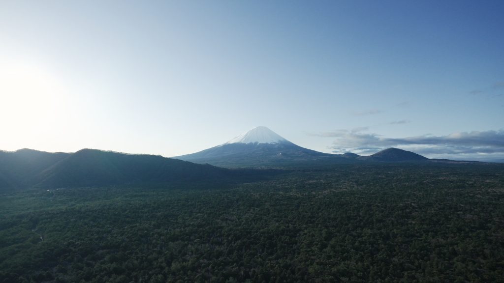 ドローンで撮影した富士の樹海