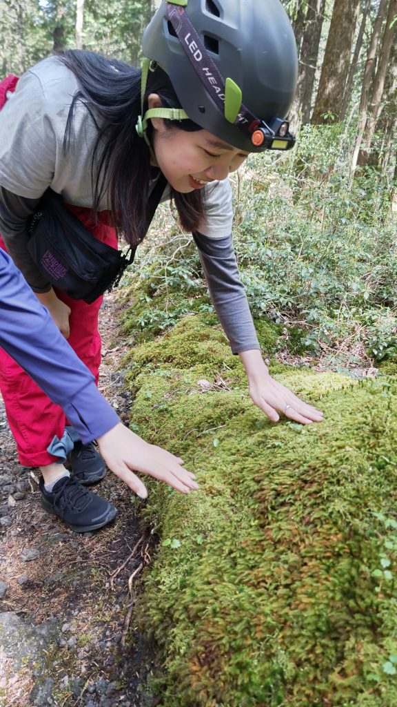 新緑の苔を触るガイドツアー参加者の方 - 富士山・樹海エコツアーは FUJI HAT 新緑の苔を触るガイドツアー参加者の方