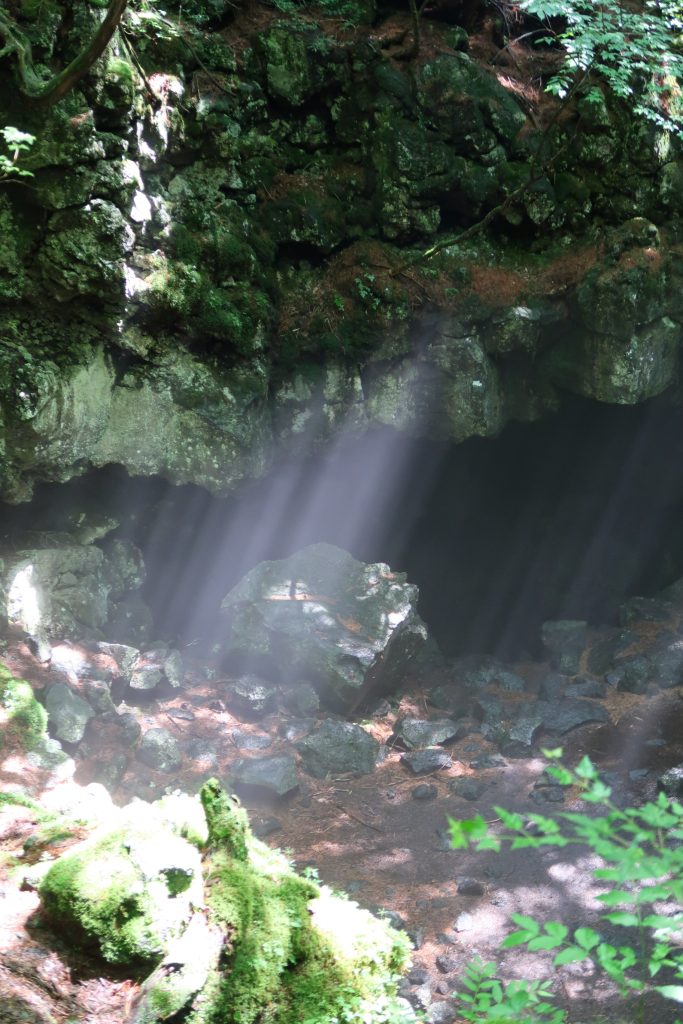 洞窟入口に差し込む光と苔むす岩場 - 富士山・樹海エコツアーは FUJI HAT 深い緑に包まれた静かな樹海の内部