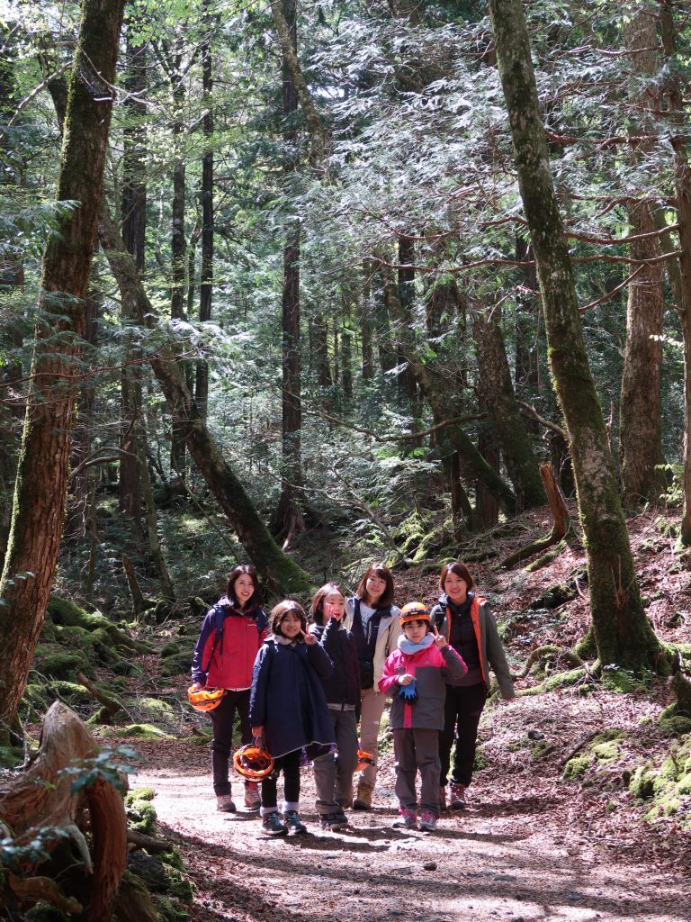 樹海を歩くツアー中のグループ(整然としたトレイル) - 富士山・樹海エコツアーは FUJI HAT 樹海を歩くツアー中のグループ(整然としたトレイル)