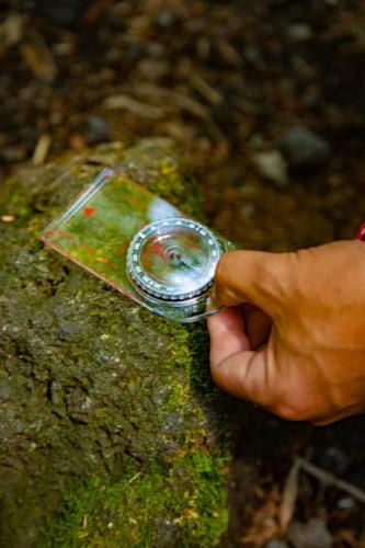 青木ヶ原樹海&大室山 写真ギャラリー