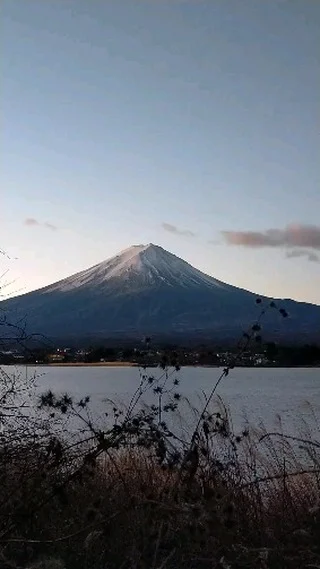 樹海　野外露出 富士山・樹海エコツアー：神秘の青木ヶ原を楽しむ少人数ガイド | FUJI HAT